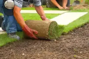 Il prato pronto si sta affermando come una soluzione pratica e conveniente per introdurre un tocco di natura in ambienti urbani e suburbani