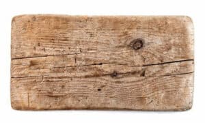 Che rumore fa il tarlo del legno