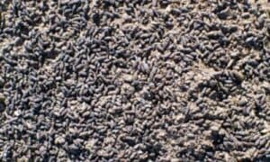 Il guano dei piccioni è costituito principalmente da escrementi di piccioni e, in misura minore, da resti di nidi, piume e uova rotte