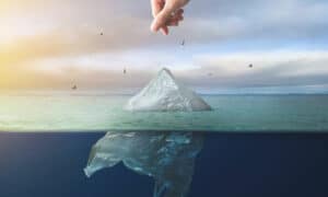 Le comunità devono essere sensibilizzate sugli effetti negativi della plastica sull'ambiente e sulla necessità di adottare pratiche sostenibili