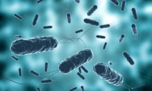 Metodi di Lotta per Combattere i Batteri