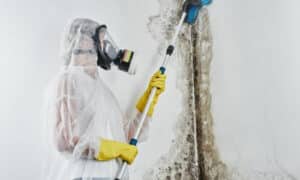 Pulire le superfici per rimuovere detriti e sporcizia prima di applicare il disinfettante
