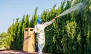 Tali ordinanze sono generalmente emesse per prevenire e controllare la diffusione di infestazioni da insetti o roditori