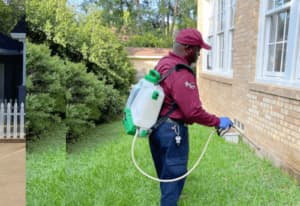 Il pest control è un'attività fondamentale per garantire la sicurezza alimentare e il benessere pubblico