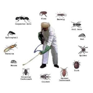 Le leggi sul pest control spesso includono disposizioni per garantire la sicurezza dei lavoratori e la protezione dell'ambiente