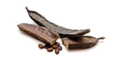 Benefici Ambientali Albero di Carrubo