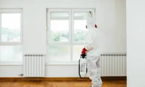Come prevenire una possibile infestazione da blatte