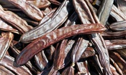 Questi frutti sono stati un elemento importante nella dieta di molte popolazioni mediterranee nel corso dei secoli
