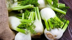 Originario delle regioni del Mediterraneo, il finocchio è stato utilizzato per le sue proprietà culinarie e medicinali sin dall'antichità