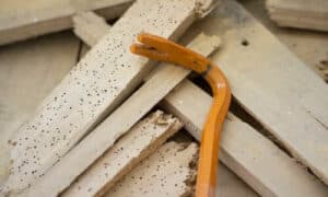 n fase di trattamento, è necessario indossare guanti protettivi e, se si utilizza uno spruzzatore, anche maschera e occhiali