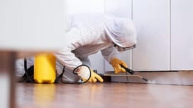 È essenziale che le imprese del settore rispettino le leggi per evitare sanzioni e garantire la sicurezza pubblica.
