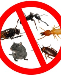 È fondamentale comprendere cosa si intende per pest control